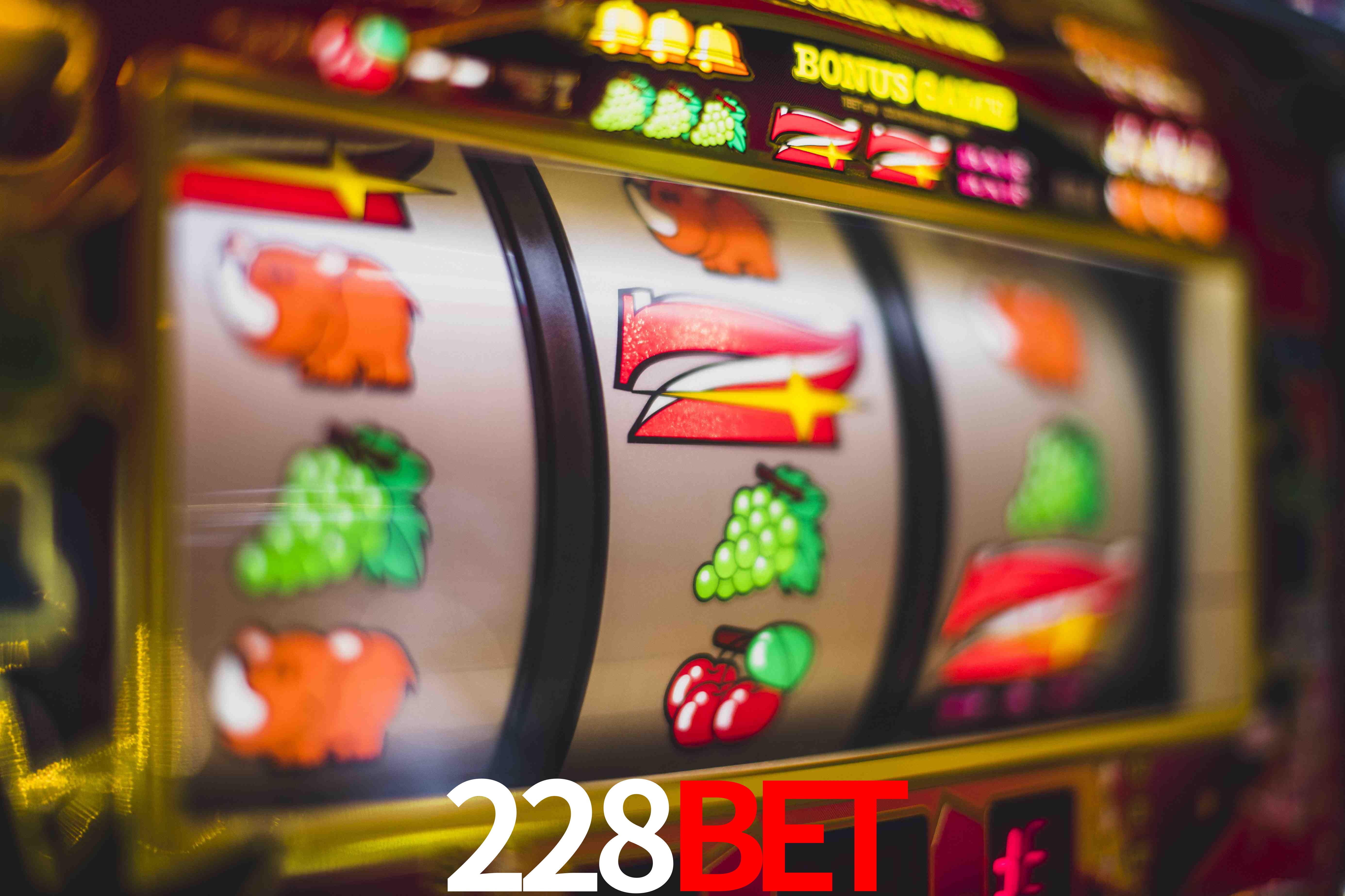 Sports Statistics 228bet